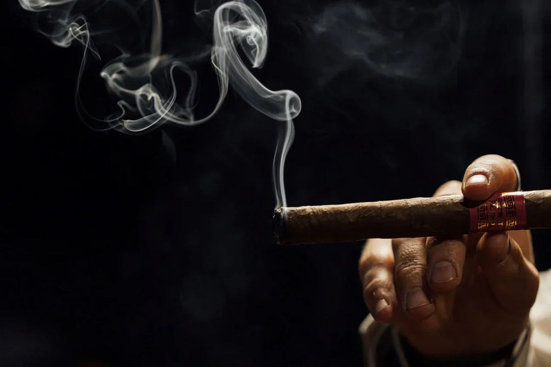 The Anatomy of a Cigar: What Every Smoker Should Know